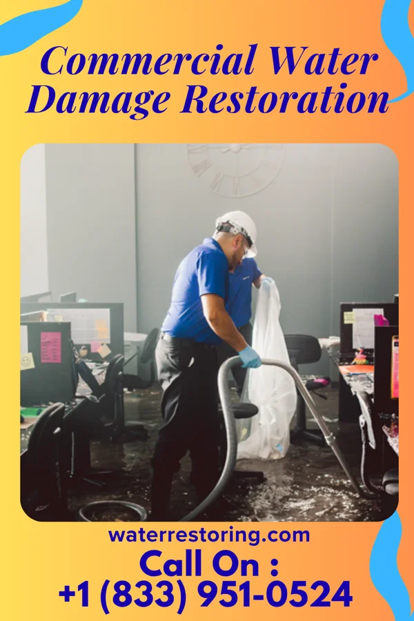 Commercial Water Damage Restoration in Lumpkin, GA